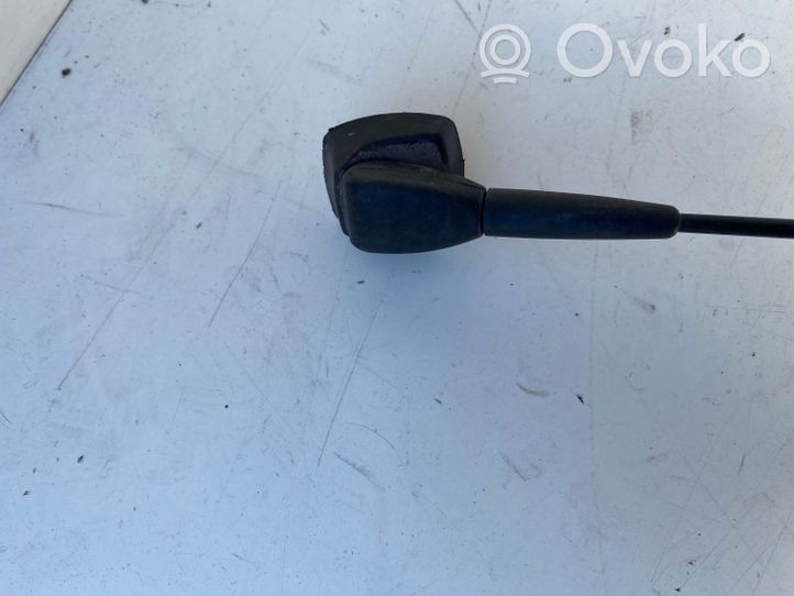 Renault Scenic I Radio antenna 