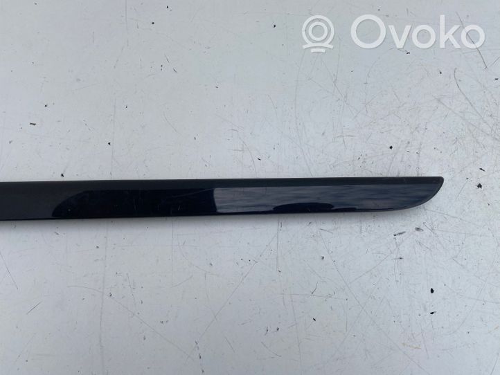 Audi A4 S4 B6 8E 8H Altro elemento di rivestimento della portiera posteriore 8E0867420G