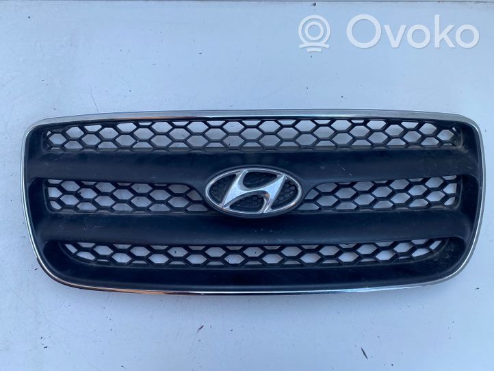 Hyundai Santa Fe Front bumper upper radiator grill E865612B010