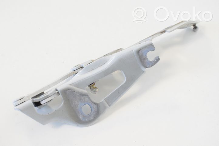 BMW 2 F22 F23 Cerniera portellone posteriore/bagagliaio 7304558