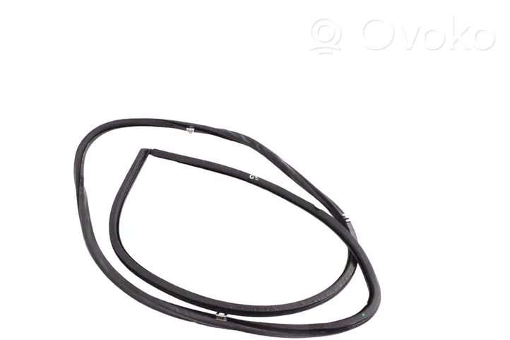 Lexus GS 300 350 430 450H Rubber seal rear door 