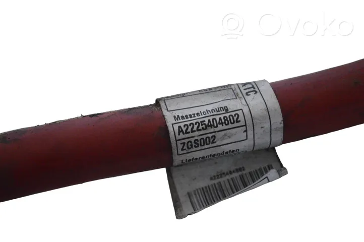 Mercedes-Benz S C217 Cavo positivo (batteria) A2225404802