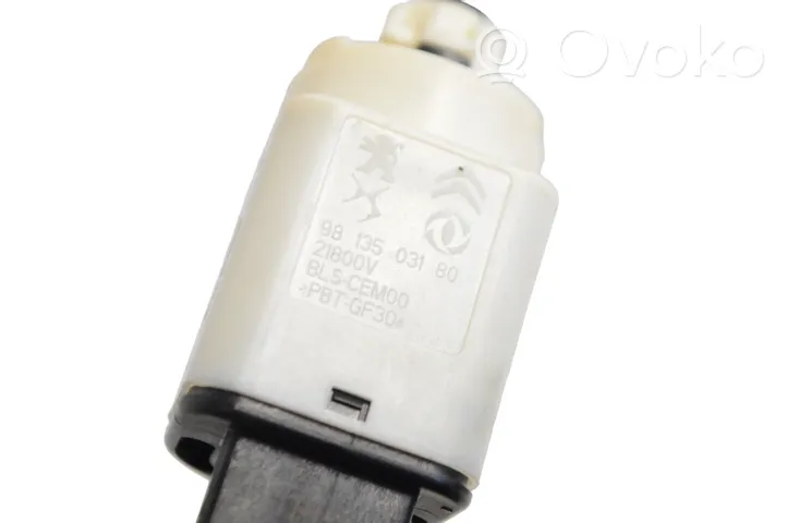 Peugeot 208 Sensor Bremspedal 9813503180