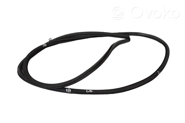 Lexus GS 300 350 430 450H Rubber seal rear door 