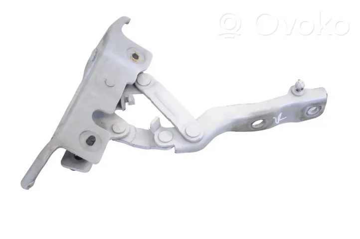 Hyundai Santa Fe Engine bonnet/hood hinges 