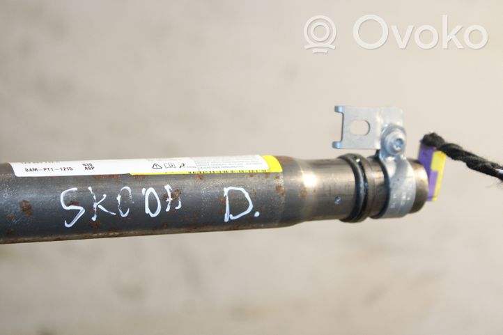 Skoda Octavia Mk2 (1Z) Kattoturvatyyny 1Z9880742C