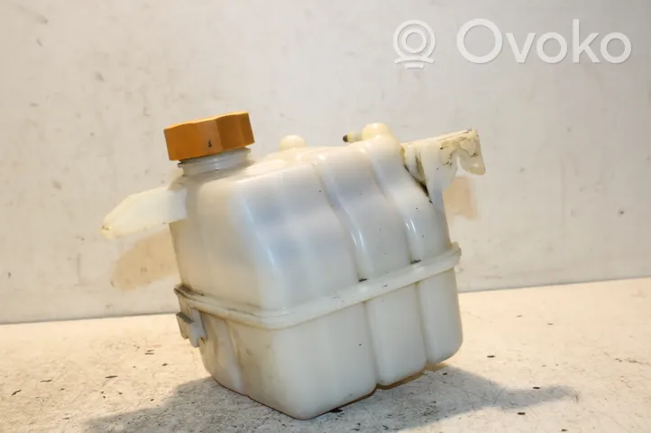 Chevrolet Captiva Coolant expansion tank/reservoir 95025829