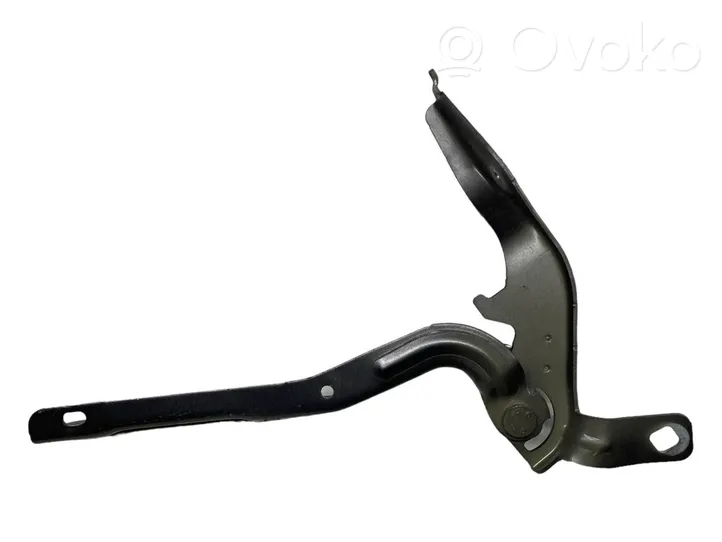 Citroen C4 III e-C4 Cerniere del vano motore/cofano 9831199680