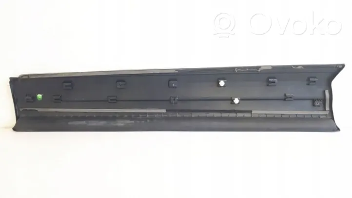 Volkswagen Tiguan Front door trim (molding) 