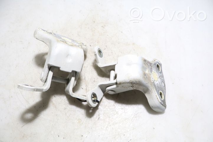 Opel Antara Rear door hinge set 