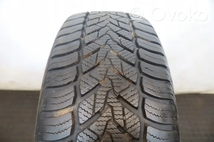 Opel Vectra B R15 summer tire 