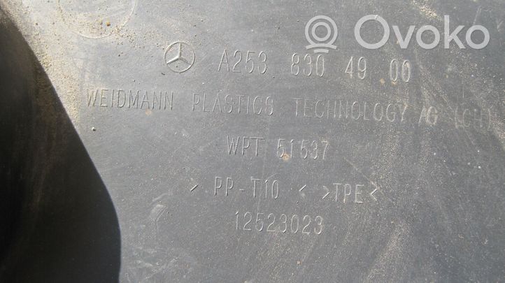 Mercedes-Benz CLS C219 Rivestimento del tergicristallo A2538304900