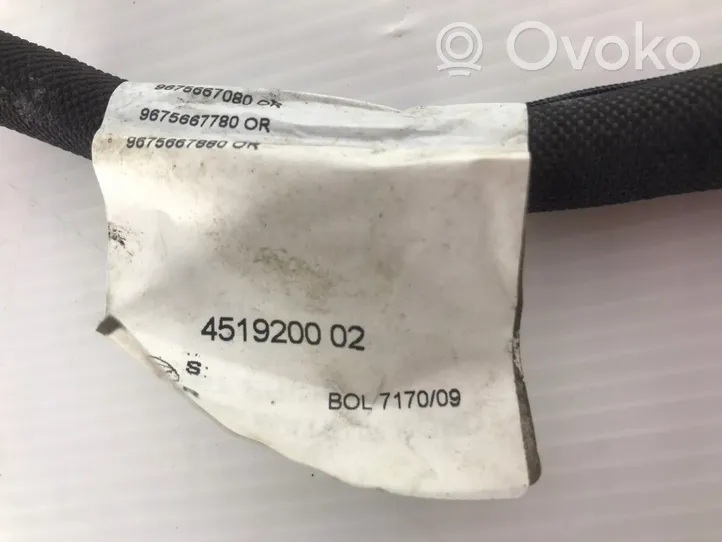 Citroen C4 II Wiązka przewodów lamp tylnych 9675667780