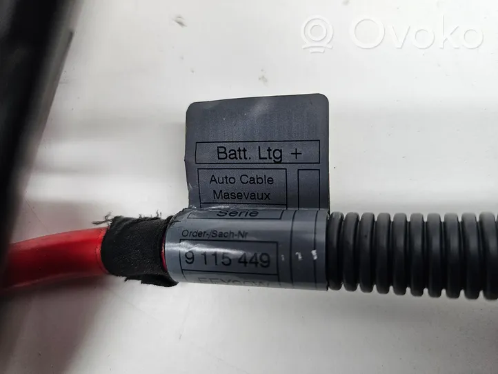BMW X6 E71 Positive wiring loom 6977957