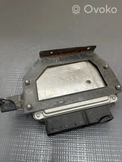 Hyundai Santa Fe Sterownik / Moduł ECU 3910127805