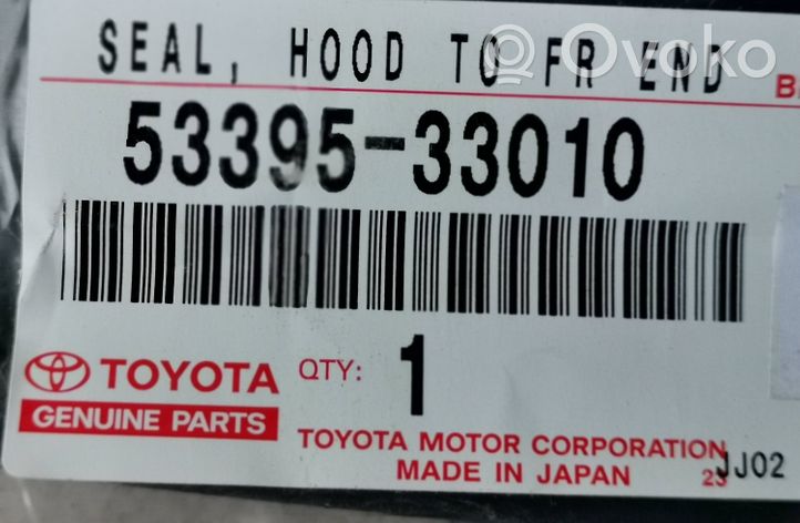 Toyota Camry Autres pièces de carrosserie 5339533010