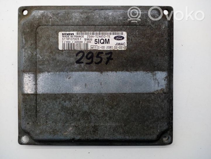 Ford Fusion Sterownik / Moduł ECU 2S6A12A650TE