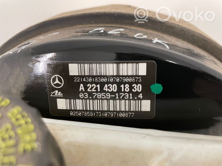 Mercedes-Benz S W221 Jarrutehostin A2214301830