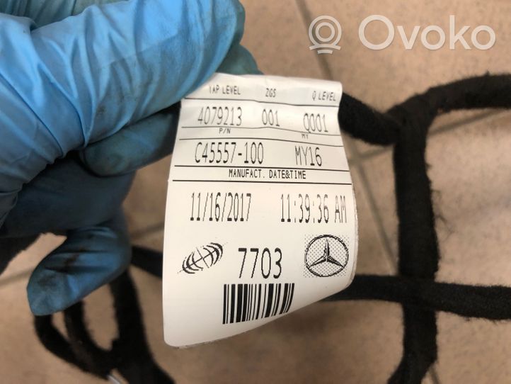 Mercedes-Benz GLE (W166 - C292) Cablaggio porta posteriore 33135647