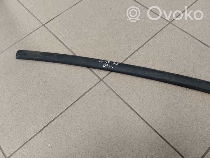 Volvo C30 Front door rubber seal 