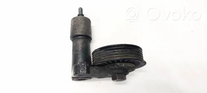 Volkswagen PASSAT B5.5 Napinacz paska alternatora 038145283