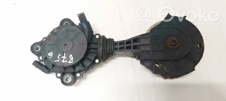 Citroen DS4 Napinacz paska alternatora v759883280