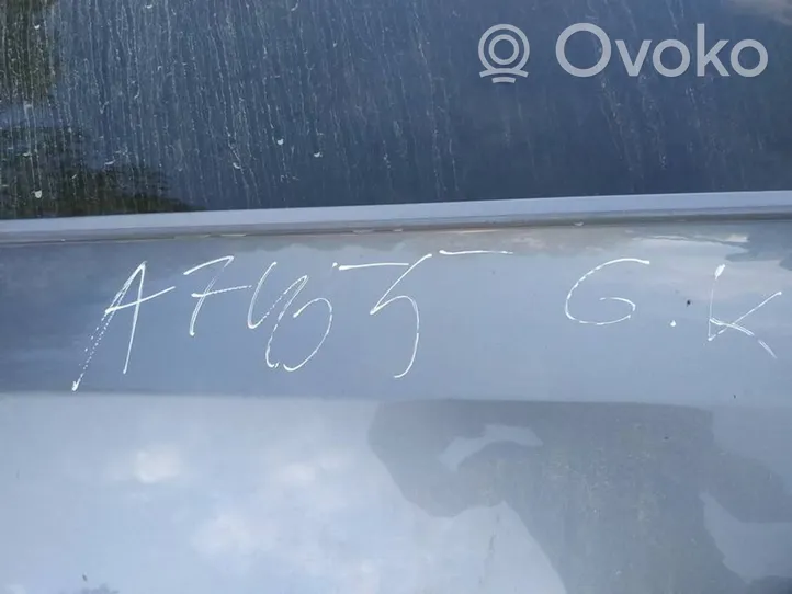 Opel Signum Aizmugurējās durvis pilkos