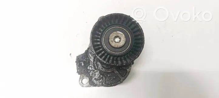 Volvo XC90 Napinacz paska alternatora 31251250