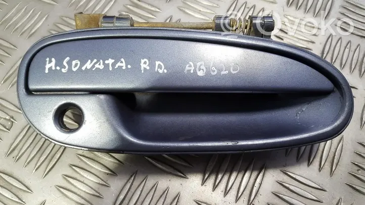 Hyundai Sonata Front door exterior handle 