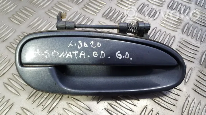 Hyundai Sonata Front door exterior handle 