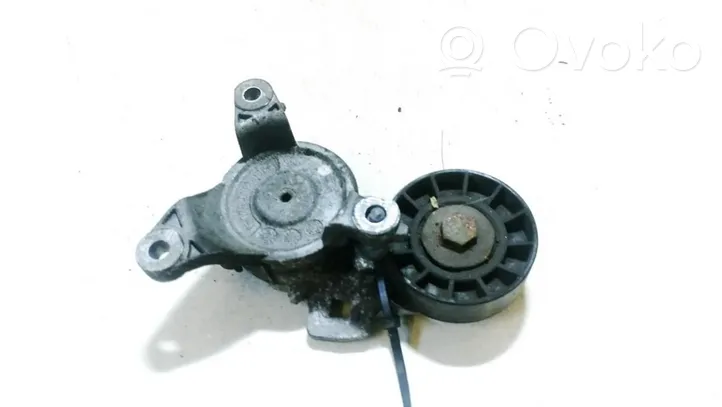 Citroen C4 I Lichtmaschine Riemenspanner Spannrolle Keilrippenriemen Keilriemen tf070