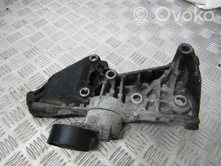 Renault Kangoo I Napinacz paska alternatora 8200608550