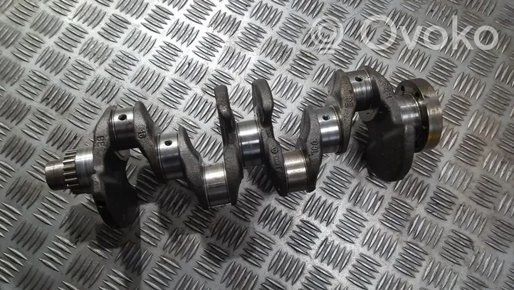 Volkswagen Golf VI Crankshaft 