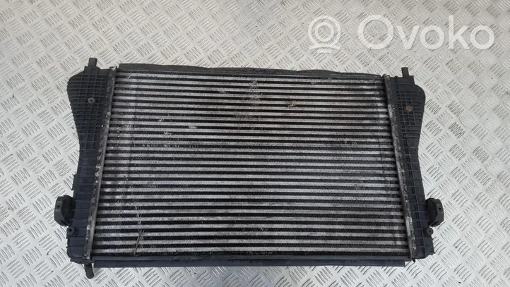 Volkswagen Golf V Radiatore intercooler 