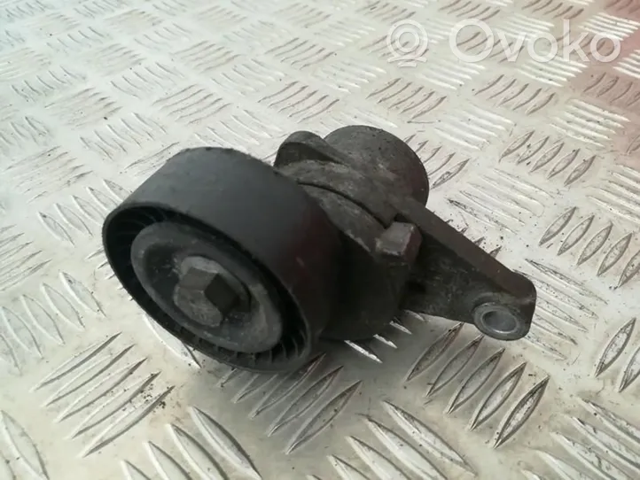 Peugeot 307 Napinacz paska alternatora 9652073680