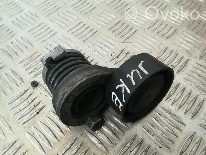 Nissan Juke I F15 Tendicinghia generatore/alternatore 117501113r