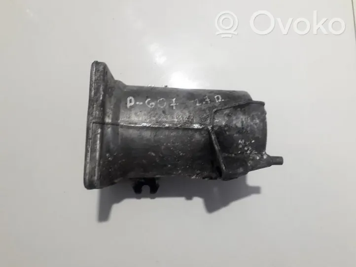 Peugeot 607 Fuel filter 6650473120