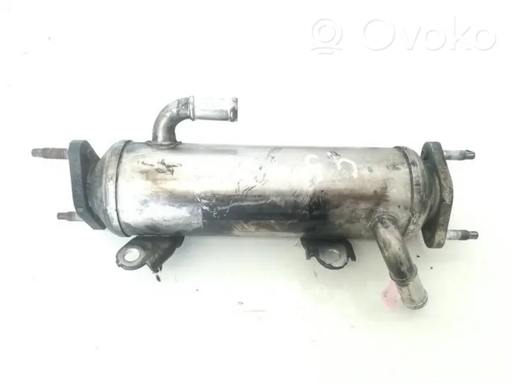 Chevrolet Captiva Refroidisseur de vanne EGR 96817829