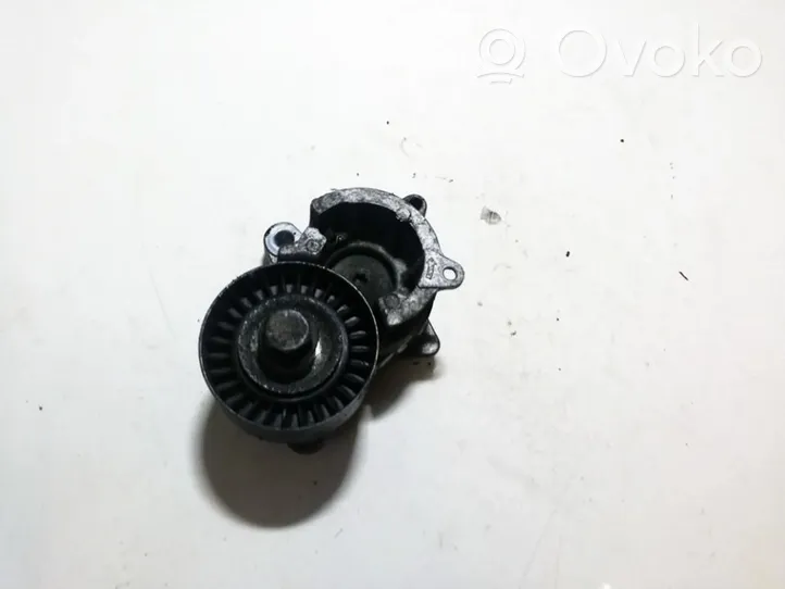 Peugeot 307 Napinacz paska alternatora 9636207480