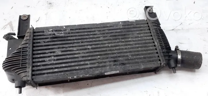 Nissan Pathfinder R51 Radiatore intercooler 14461EB360