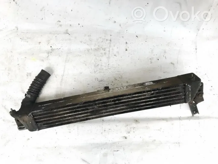 Opel Sintra Chłodnica powietrza doładowującego / Intercooler 52476626