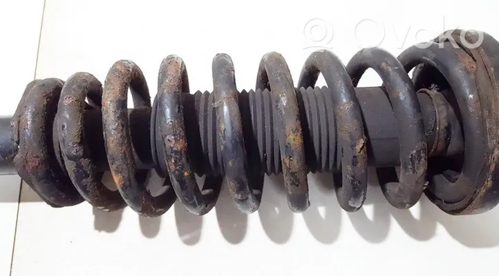 Honda Accord Front coil spring 