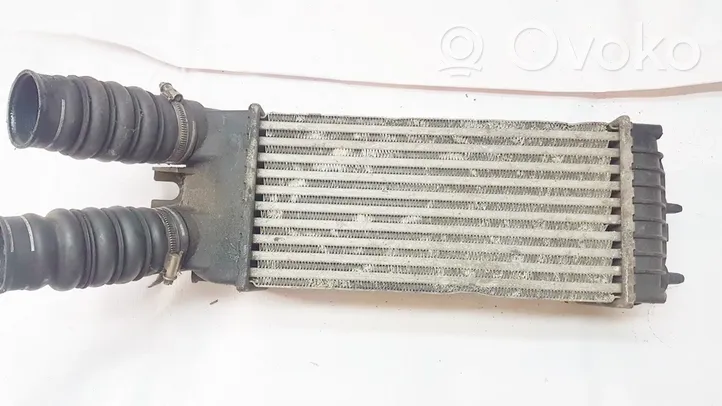 Citroen Xsara Picasso Chłodnica powietrza doładowującego / Intercooler 9645965180