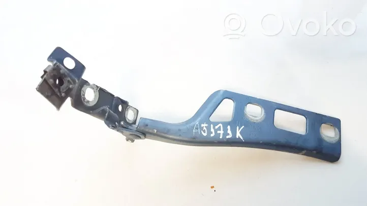 Opel Zafira B Engine bonnet/hood hinges 13224576