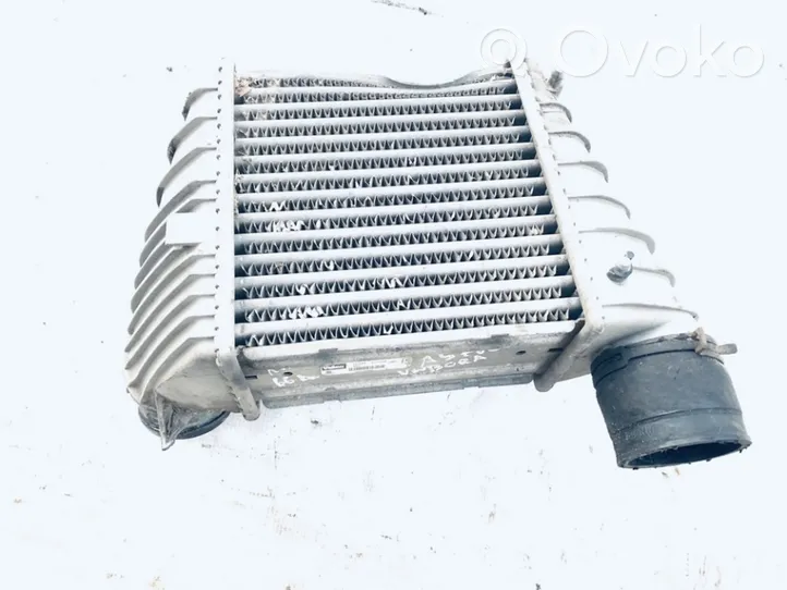 Volkswagen Bora Radiatore intercooler 1j0145805