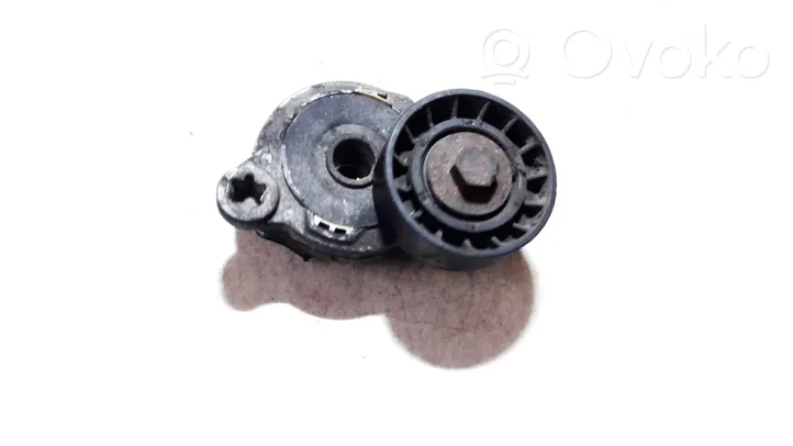 Volvo XC60 Generator/alternator belt tensioner tf155b