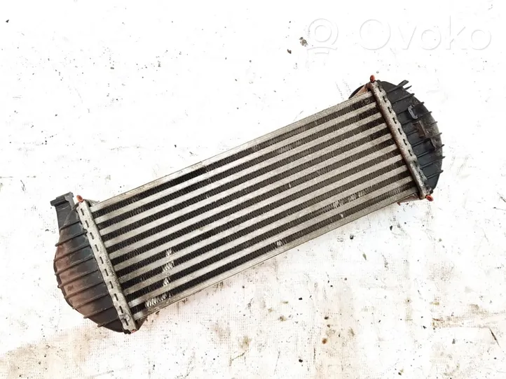 Mercedes-Benz Citan W415 Chłodnica powietrza doładowującego / Intercooler 144963234r