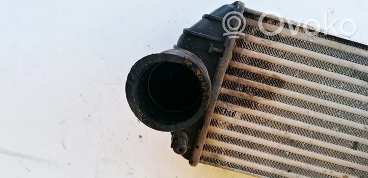 Volkswagen PASSAT B5.5 Intercooler radiator 