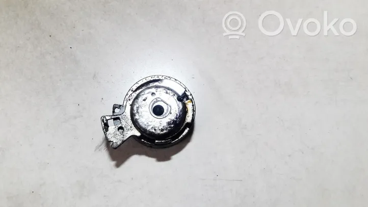 Opel Corsa B Tendicinghia generatore/alternatore 307970C