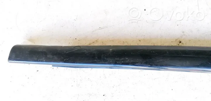 Jaguar X-Type Sill 1X43F10608ACW